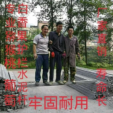 批发猕猴桃新水泥杆二手水泥杆葡萄水泥立柱水泥桩