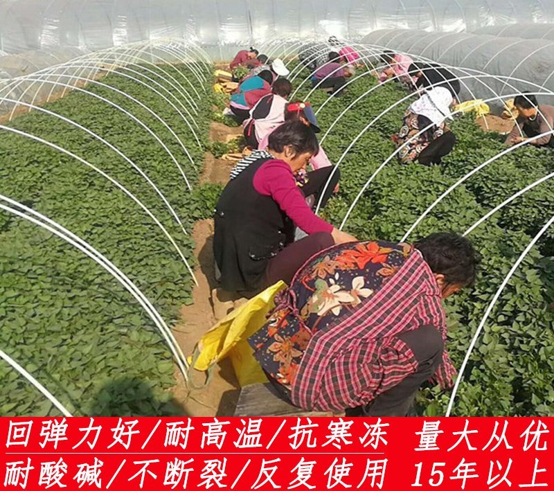 拱棚新型材料小拱棚拱杆4567810mm玻璃纤维棒
