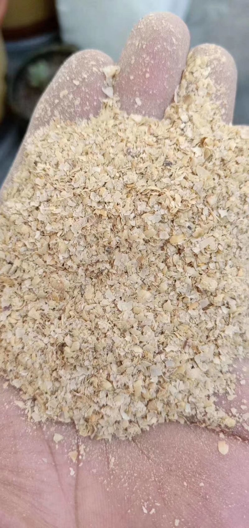 东北黄豆皮精选好货营养价值高富含蛋白质