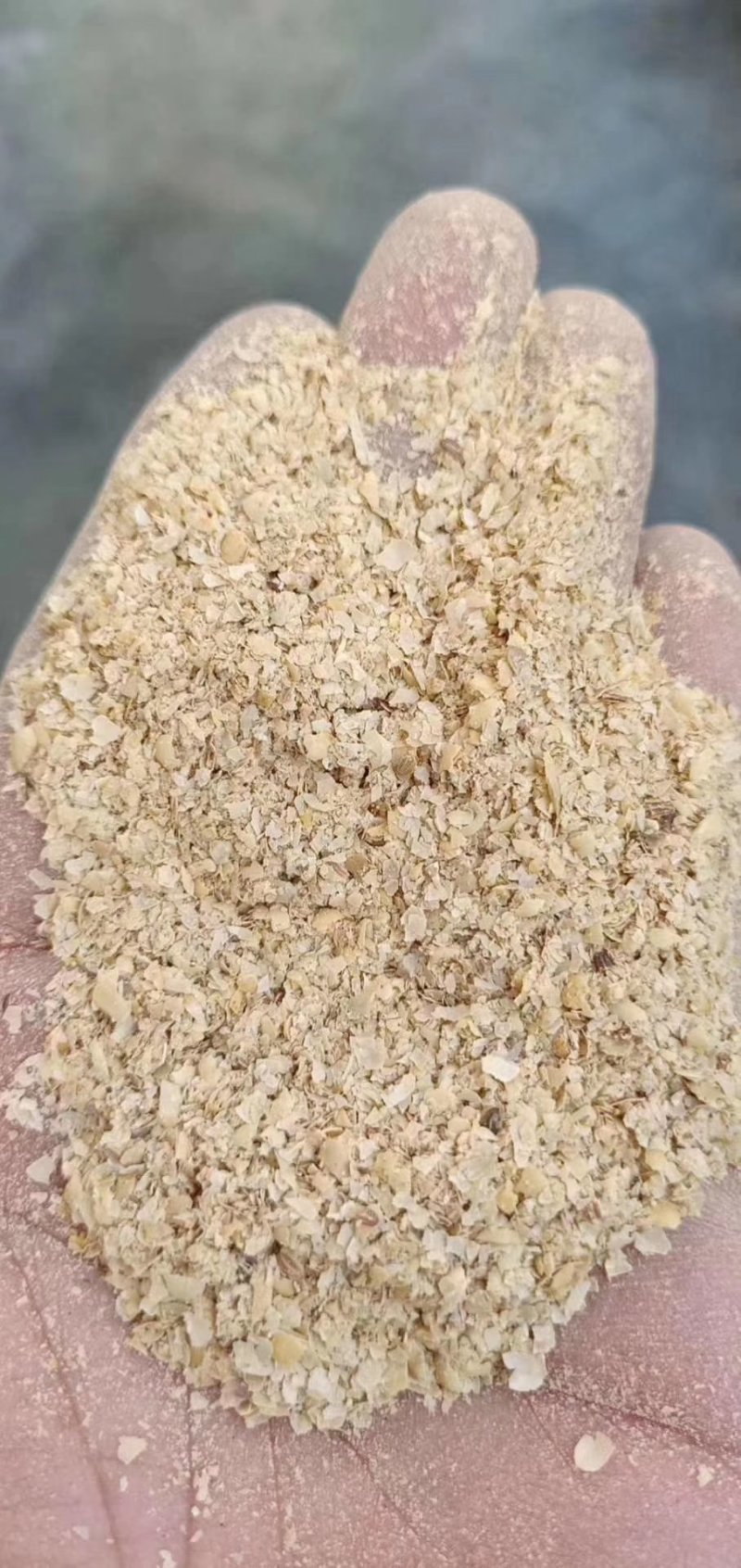 东北黄豆皮精选好货营养价值高富含蛋白质