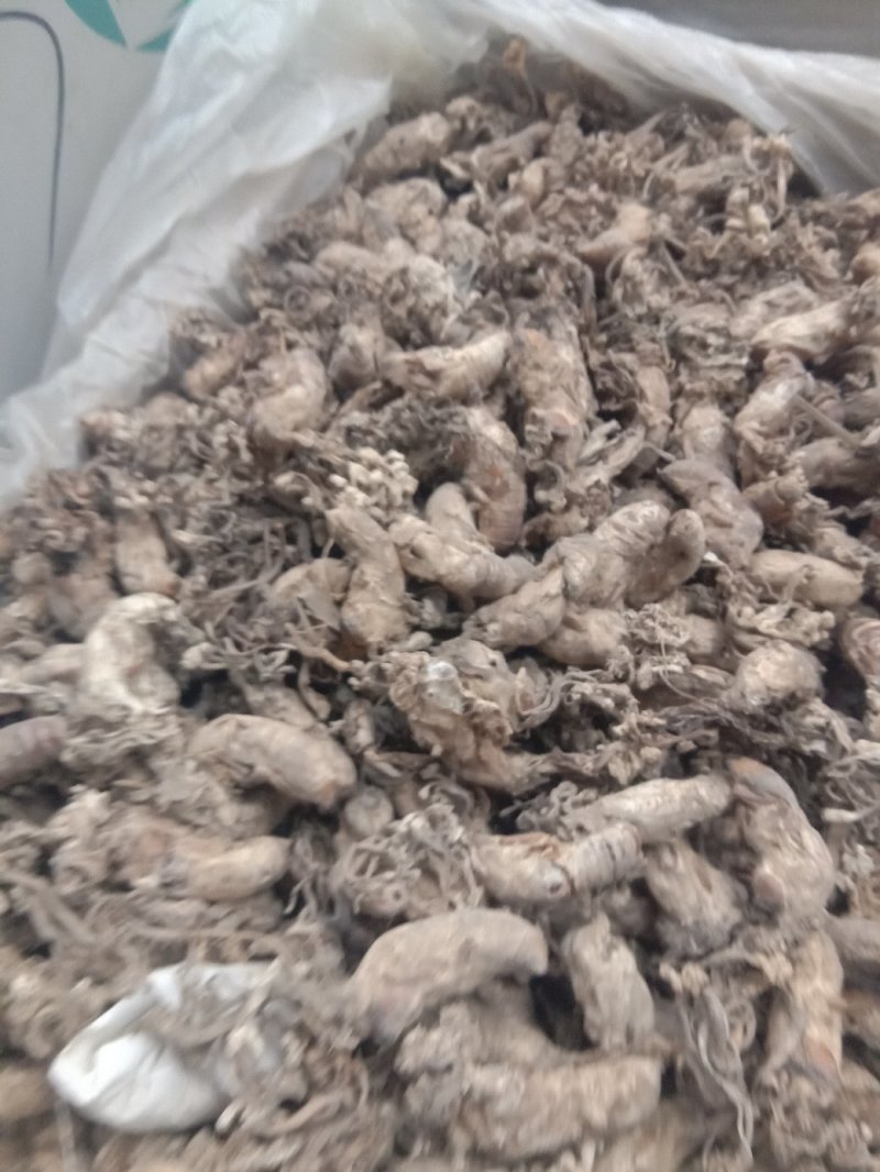 金蝉花，常年批发中药材金蝉花冷背药材量大从优