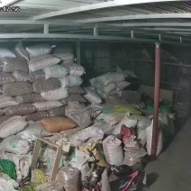 绵核桃