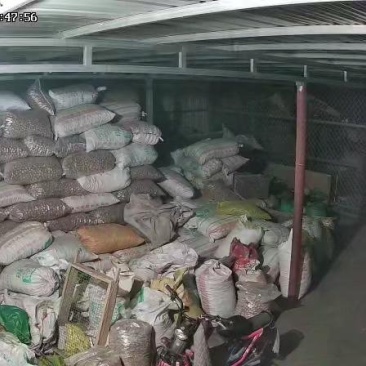 绵核桃