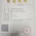 毛叶山子苗