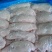 正大板冻鸡大胸/原料