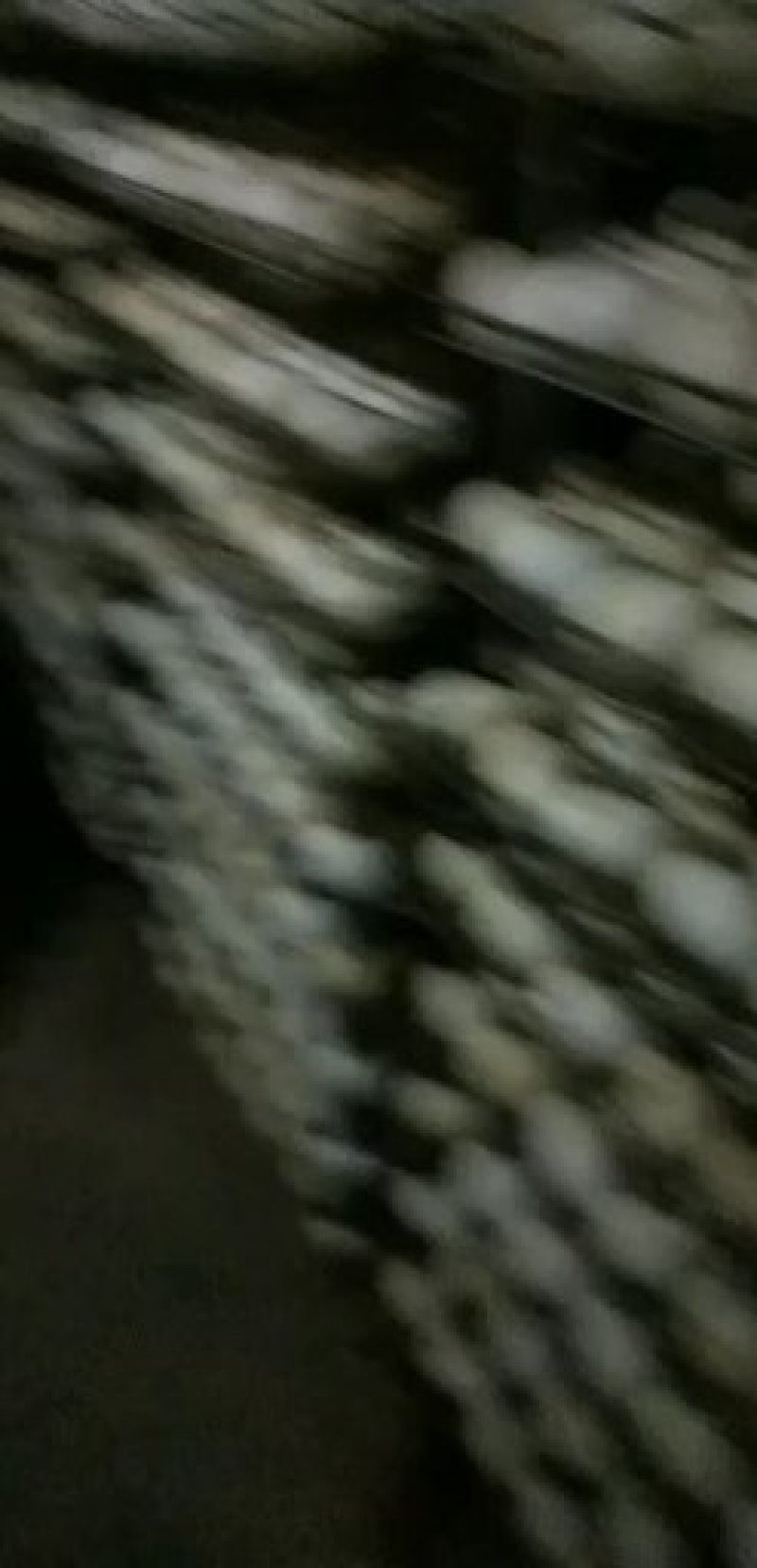 鹅