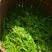 张家界钩古藤茶特级莓茶润喉利肺嫩芽尖养生茶