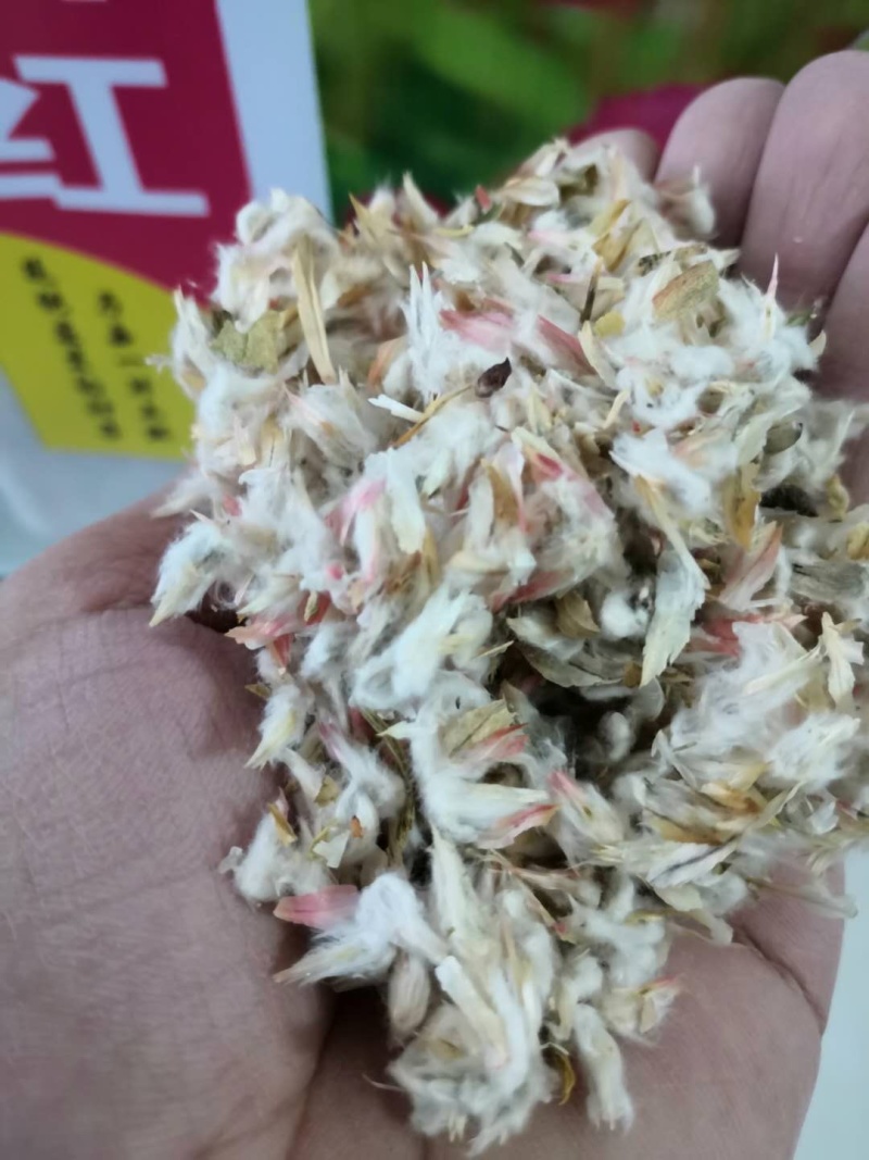 千日红种子千日紫种子四季开花庭院别墅路边景观绿化花种子