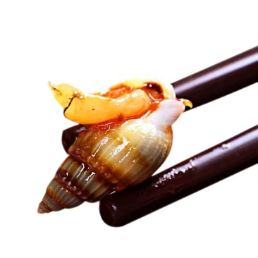 网红麻辣海鲜（海瓜子）海锥秘制(招代理)