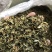 脱水蔬菜
