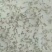 【推荐】南美对白虾苗/量大从优全国包邮