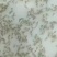 【推荐】南美对白虾苗/量大从优全国包邮