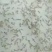 【推荐】南美对白虾苗/量大从优全国包邮