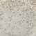 【推荐】南美对白虾苗/量大从优全国包邮