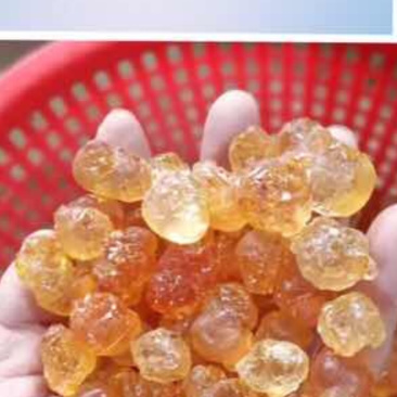 手工精修大颗粒，精品中的精品产地直销量大优惠