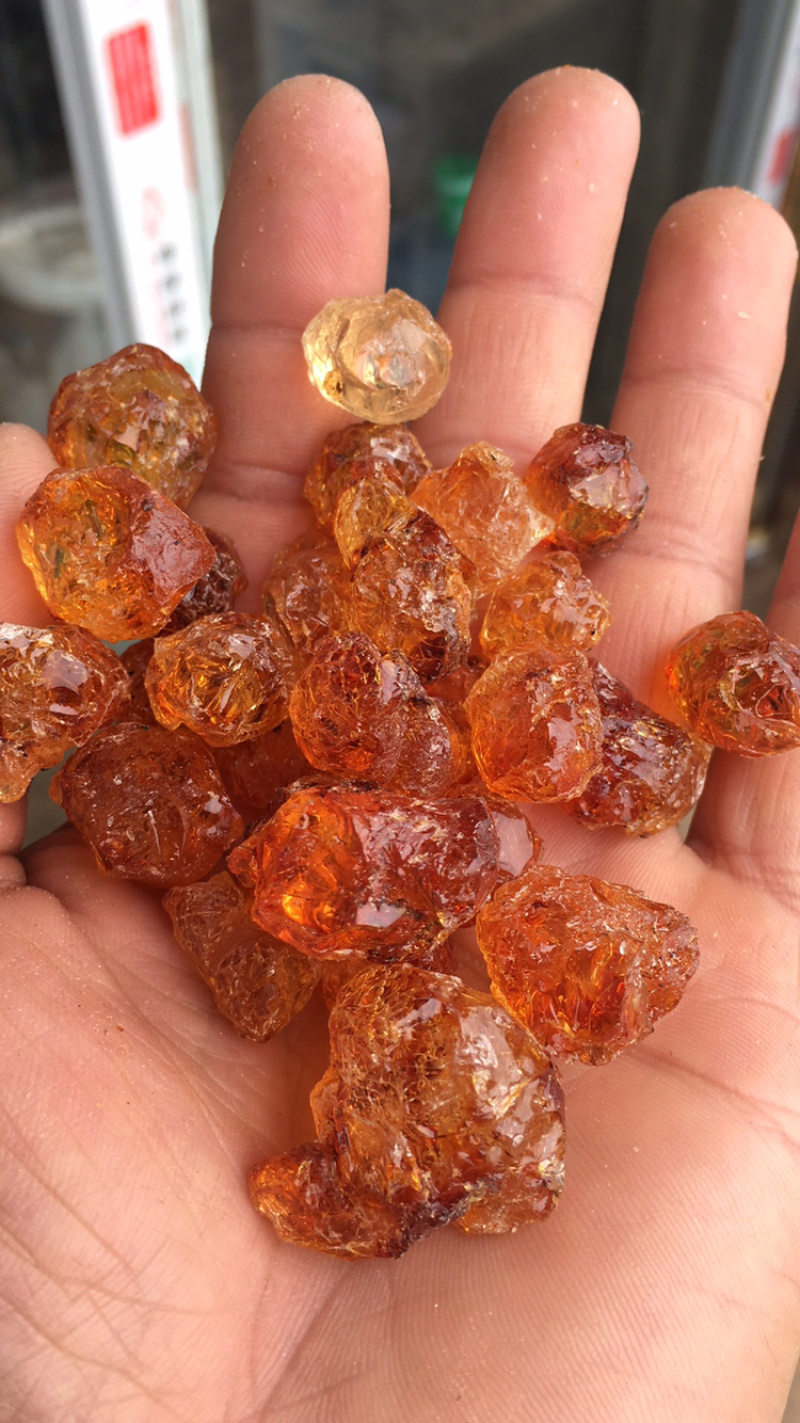 水洗精品，纯黄大中小珍珠颗粒桃胶，货源地直发，全国包邮