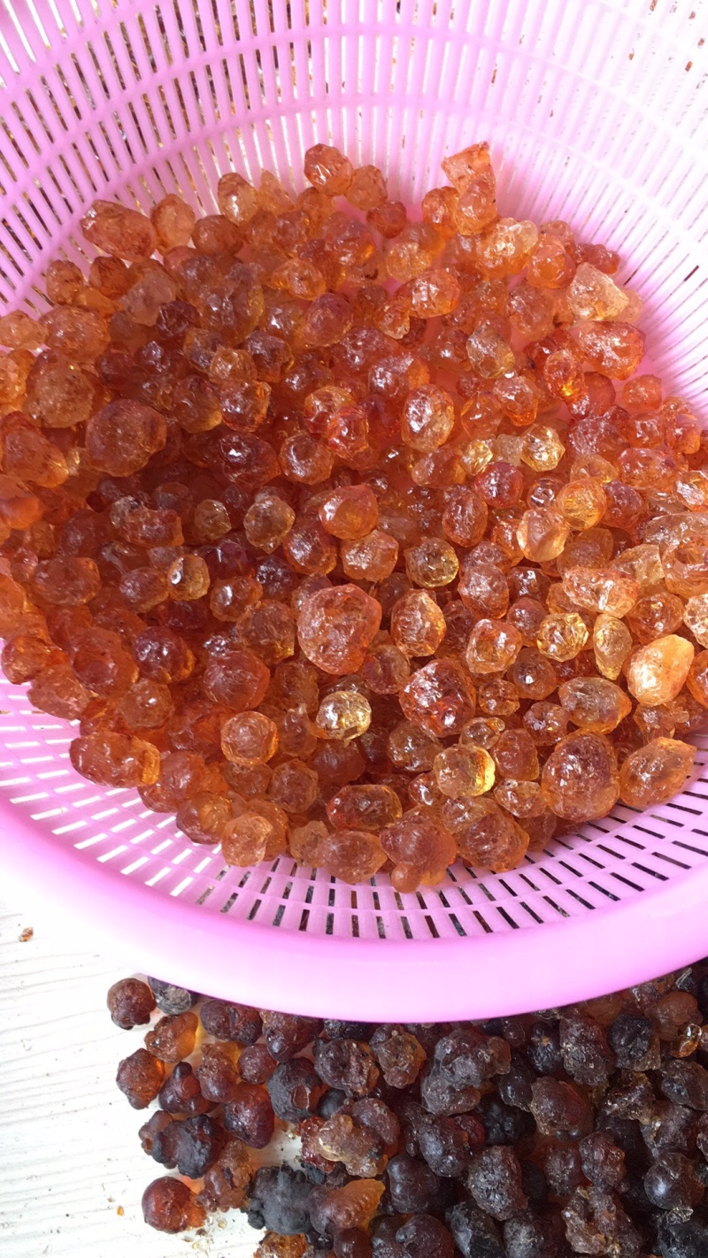 水洗精品，纯黄大中小珍珠颗粒桃胶，货源地直发，全国包邮