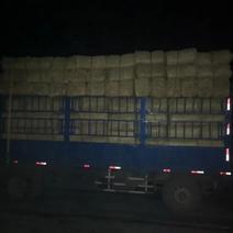 赤峰敖汉地区大量出售玉米秸秆压块