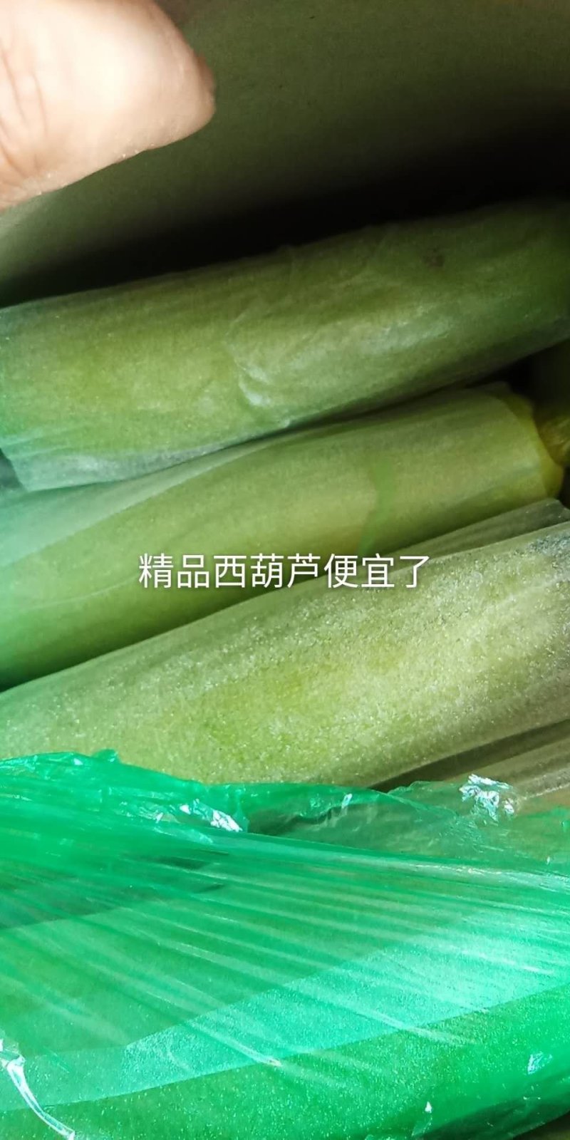 常年供应精品西葫芦，以及各种精品蔬菜，欢迎进店选购。