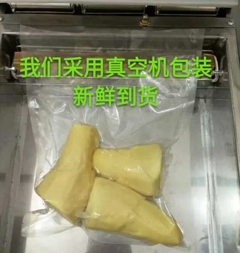 酸笋5斤包邮螺蛳粉酸笋丝酸笋块酸笋尖批