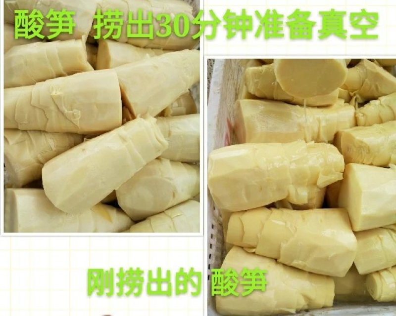 酸笋5斤包邮螺蛳粉酸笋丝酸笋块酸笋尖批