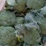 【优质】西兰花〔产地直供〕新鲜蔬菜品质保障专业代办