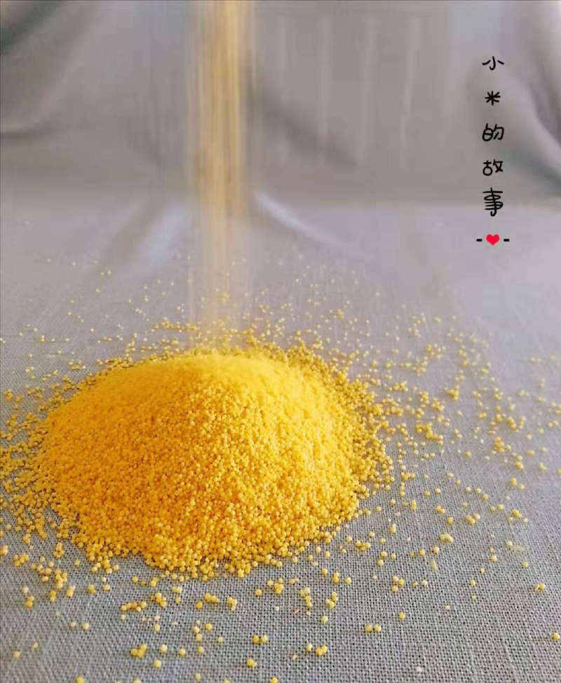 自家农场种植小米