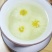 贡菊