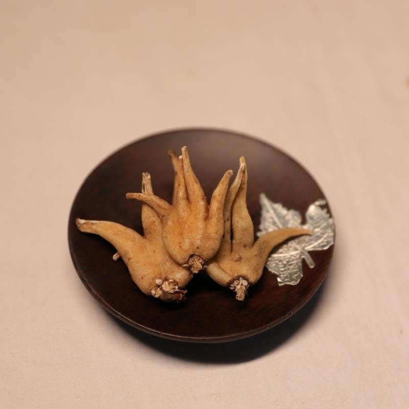 达娃曲珍手掌参精选礼盒装西藏林芝产