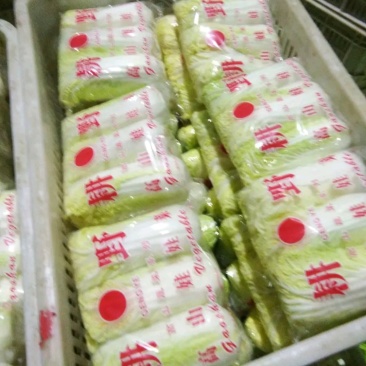 娃娃菜金品精品超精品酒店