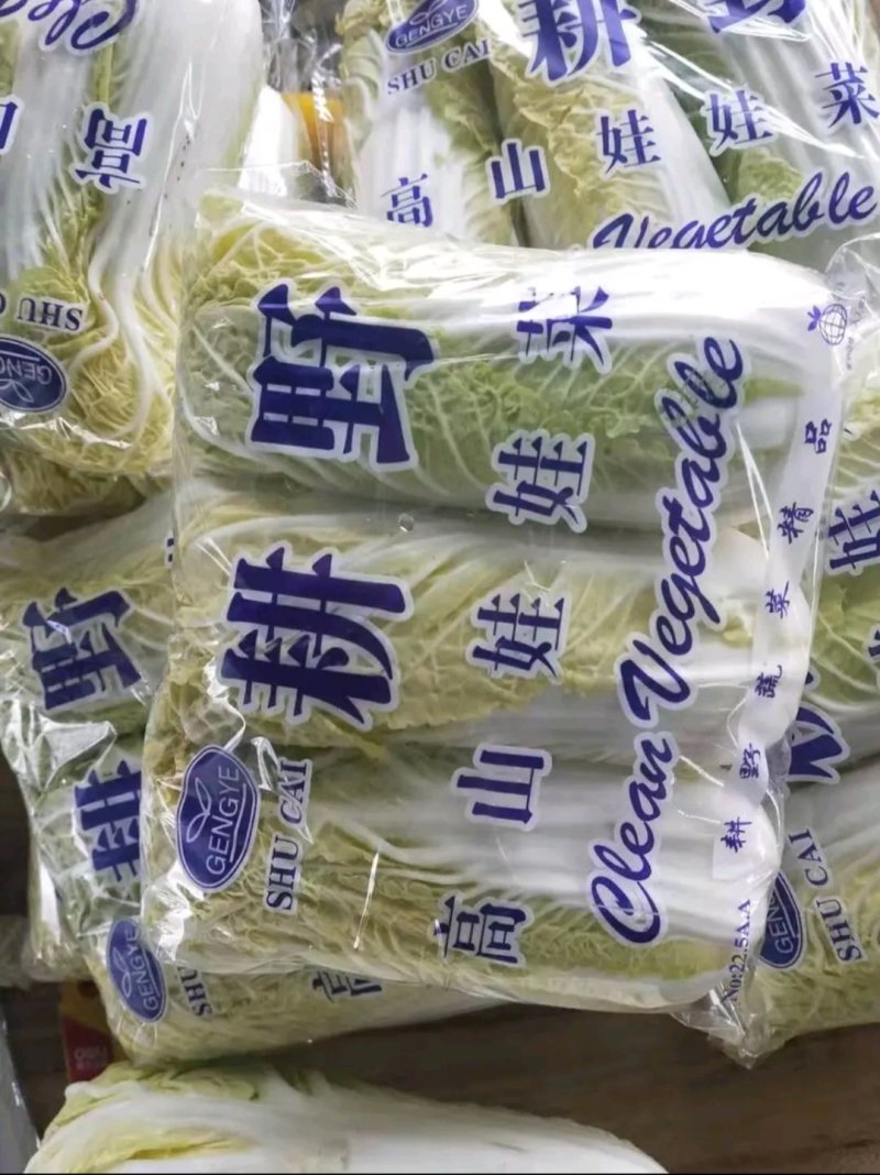 娃娃菜金品精品超精品酒店