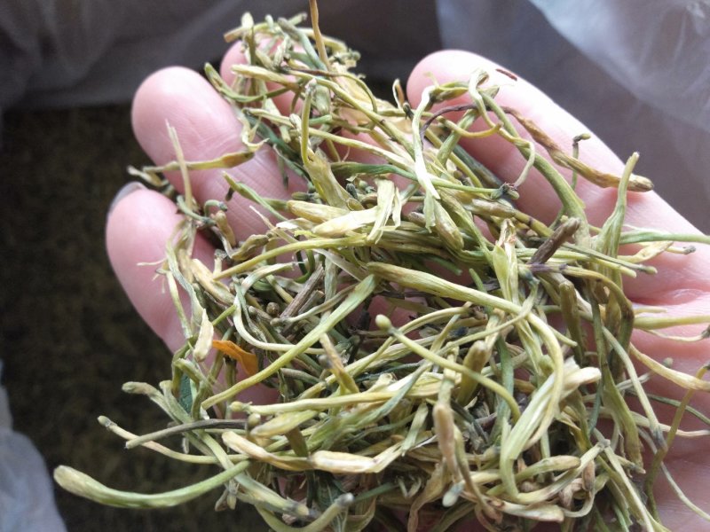 野生金银花