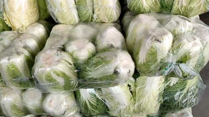 娃娃菜金品精品超精品酒店