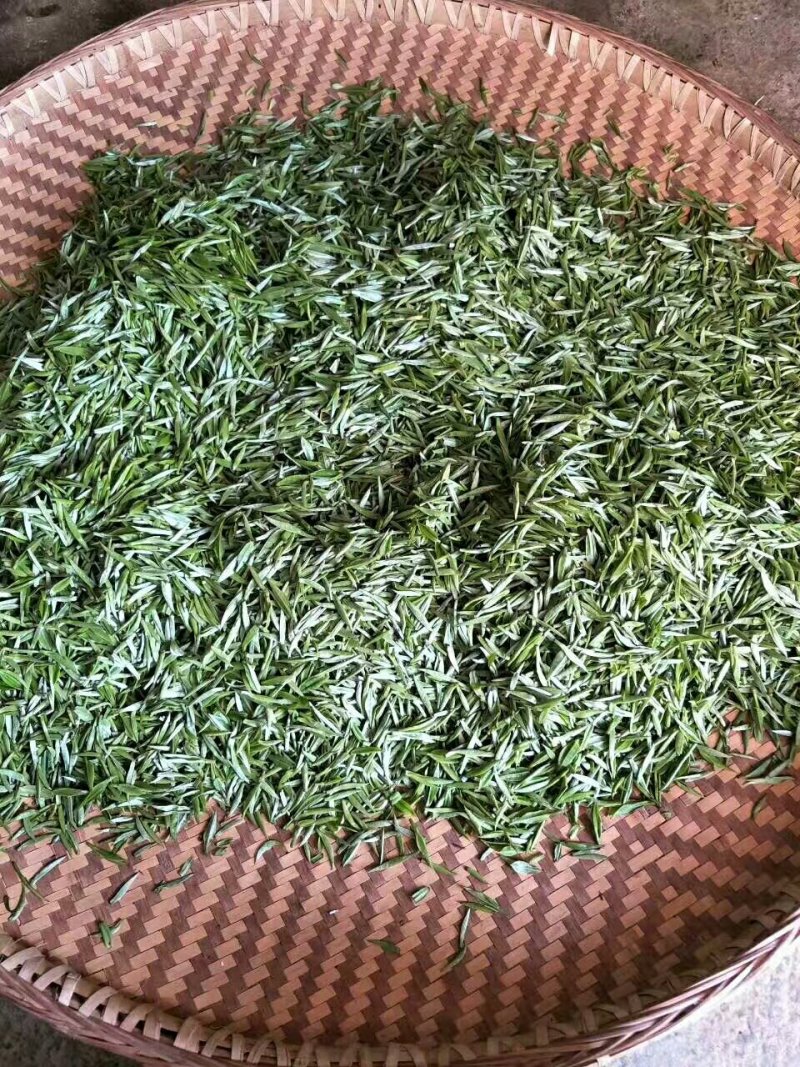 雀舌茶