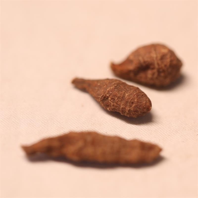 达娃曲珍人参果西藏林芝产野生蕨麻精品