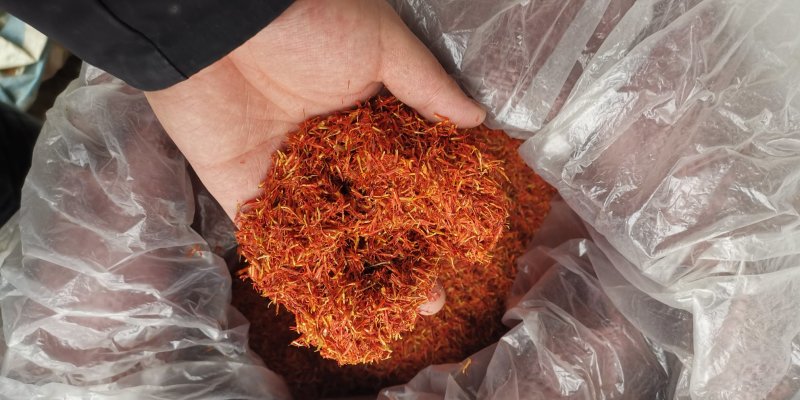 红花实物拍摄没有美颜一手货源批发各种中药材