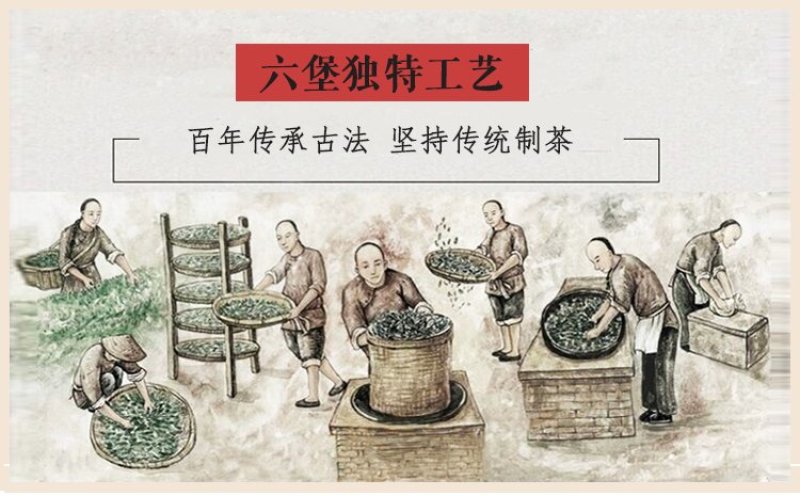 六堡茶八年陈茶