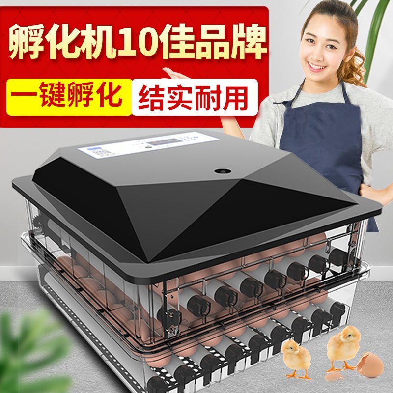 自动小型家用型鸡鸭鹅孵蛋器160元为手动水床32枚鸡蛋