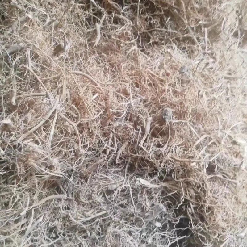 正品限时抢购文山三七根须批发炖汤佳品