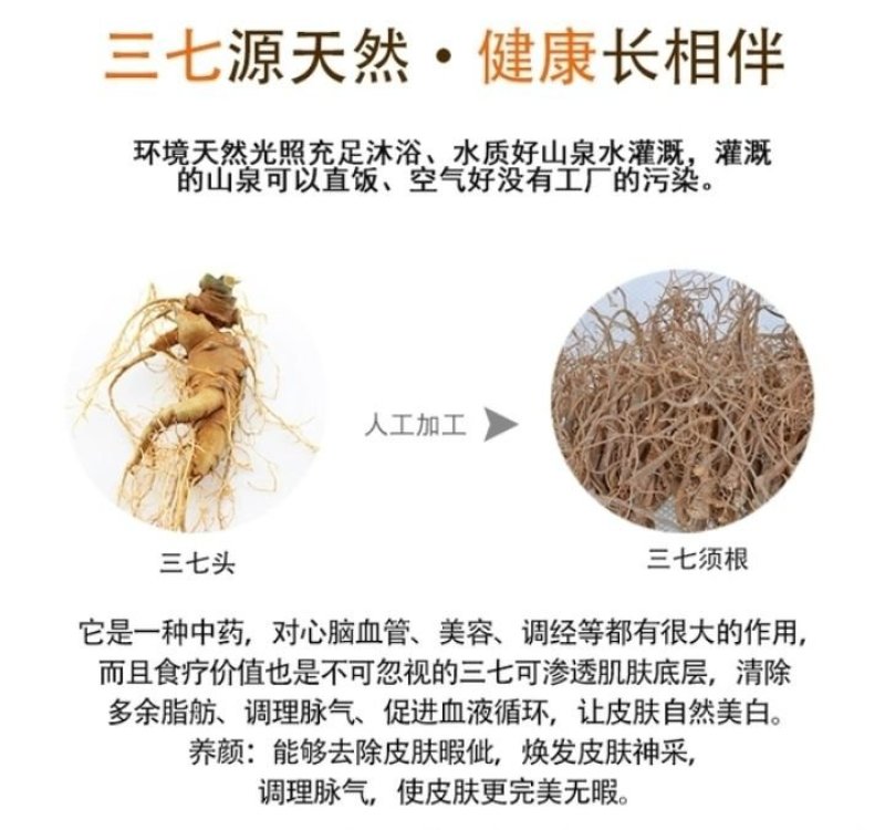 正品限时抢购文山三七根须批发炖汤佳品