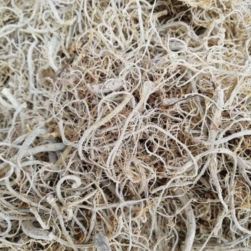 正品限时抢购文山三七根须批发炖汤佳品