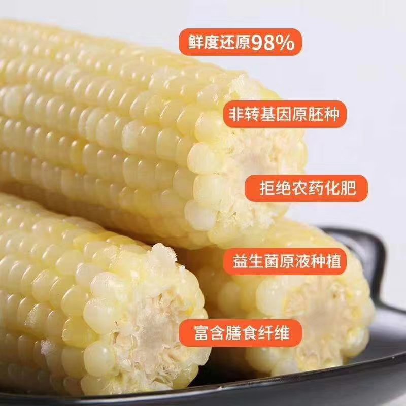 最好吃的年苞米25元包邮量大优惠