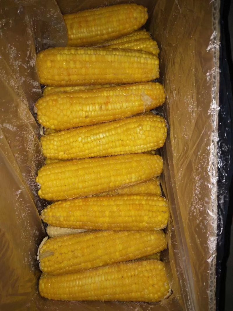 最好吃的年苞米25元包邮量大优惠