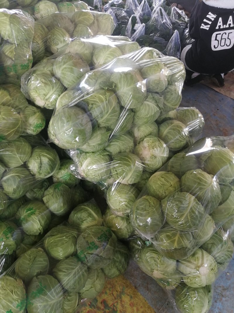 圆包菜2斤左右，甘蓝，中甘，产地直销，精品包装