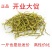 【只卖好货】霍山铁皮石斛干条野生干条批发。正品高性价比