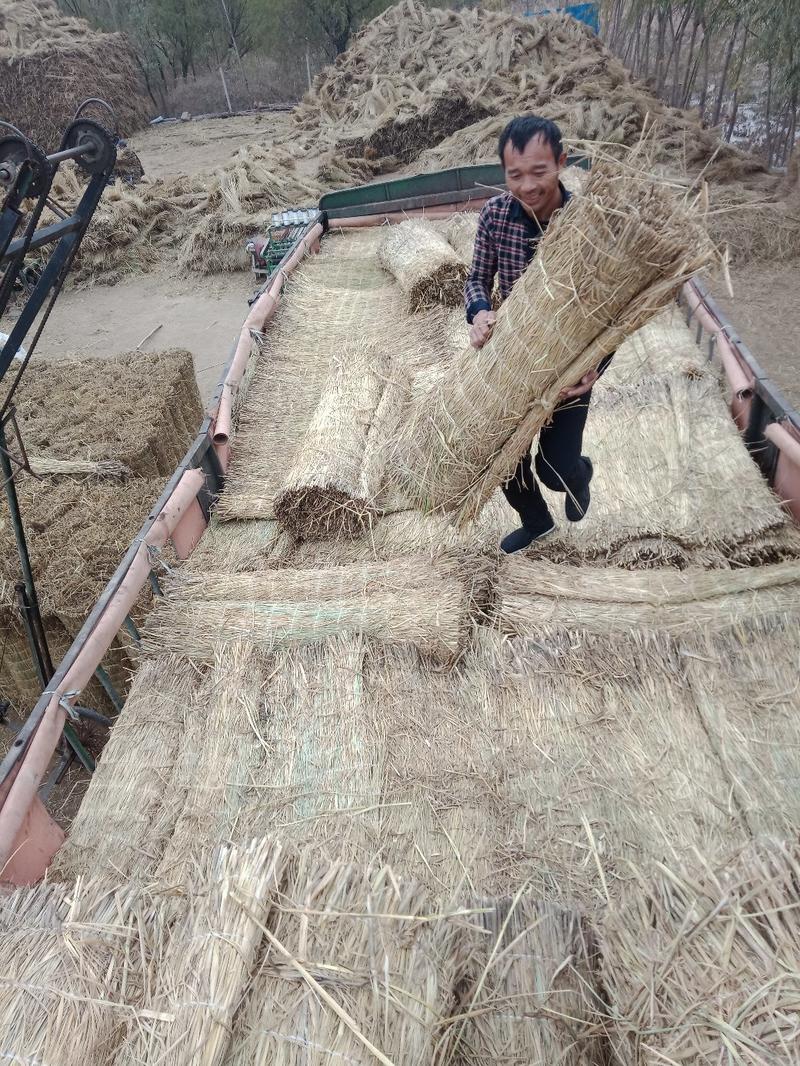 河南濮阳草苫，选用优质稻草加工而成，量大从优发往全国各地