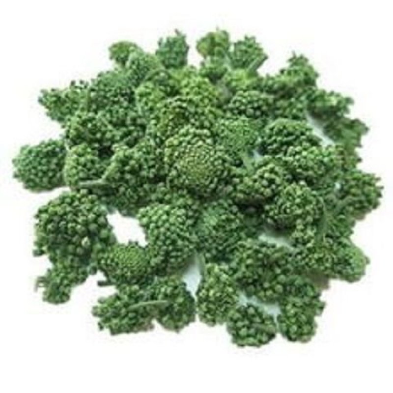 【只卖好货】文山三七花茶产地批发正品保证高性价
