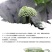 【只卖好货】文山三七花茶产地批发正品保证高性价