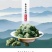 【只卖好货】文山三七花茶产地批发正品保证高性价
