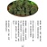 【只卖好货】文山三七花茶产地批发正品保证高性价
